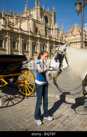 Ragazza giovane turista tratti e picchietti un carrello cavallo in Plaza del Triunfo, di fronte la Cattedrale di Siviglia. Siviglia, Spagna. Foto Stock