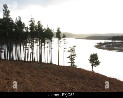 Inverno vista sud oltre kielder acqua dal di sopra della bicchieratura, Northumberland, England, Regno Unito Foto Stock