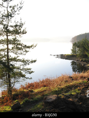 Vista ovest su kielder acqua dal vicino alla diga in una giornata autunnale, Northumberland, Inghilterra, Regno Unito. Foto Stock