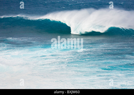 Gigantesca onda con un bel tubo. Foto Stock