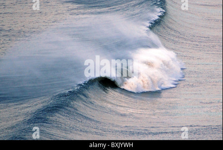 Ci sono molti tipi di onde dell'oceano. Le onde si differenziano tra di loro per dimensioni e in termini di forze di trascinamento. Onde repr Foto Stock