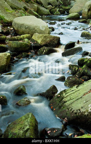 Burbage Brook Flowing su rocce attraverso Padley Gorge, Peak District Foto Stock