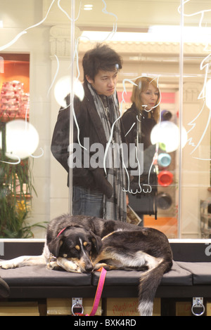 Magazzini Harrods ottiene un pet spa Foto Stock