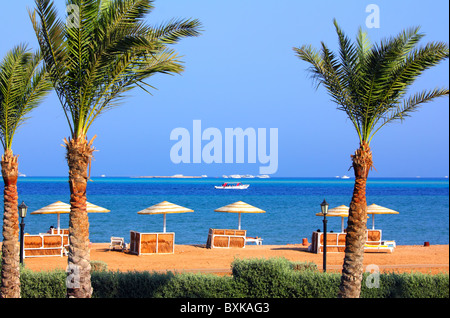 Le palme e la spiaggia tropicale in Egitto Foto Stock