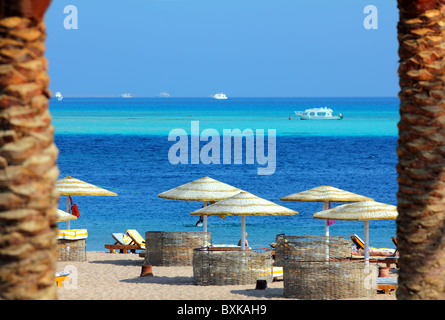 Tropical Beach in Egitto tra alberi di palma Foto Stock