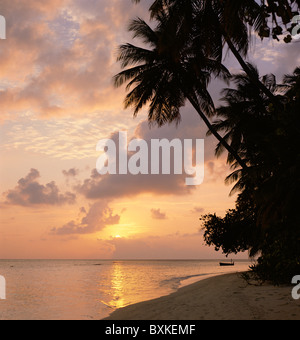 Isole dell'Oceano Indiano, Maldive, Tramonto su NakatchaFushi island Foto Stock