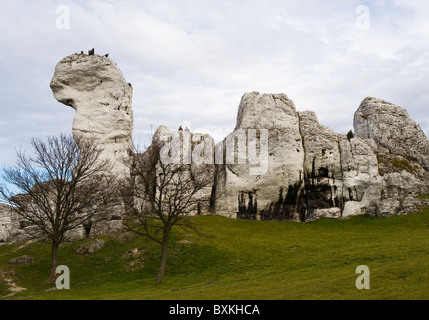 Il castello di Ogrodzieniec, Slesia Voiodeship, Polonia Foto Stock