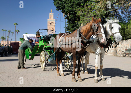 Green Caleche schierate al Parc Foucault, uno dei modi migliori per turismo e per visualizzare la città di Marrakech Foto Stock