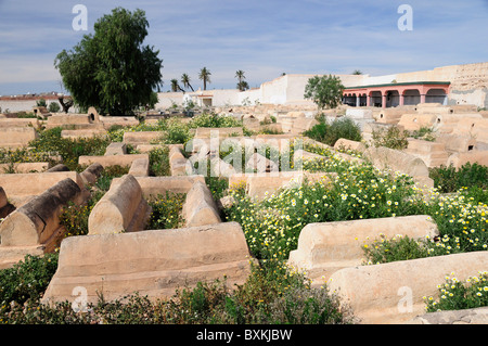 Tombe e panoramica del Miarra (cimitero ebraico) nel Quartiere Ebraico, Mellah, di Marrakech Foto Stock