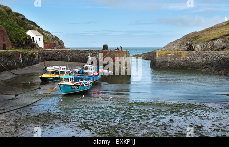 Porthgain Harbour, Galles Foto Stock