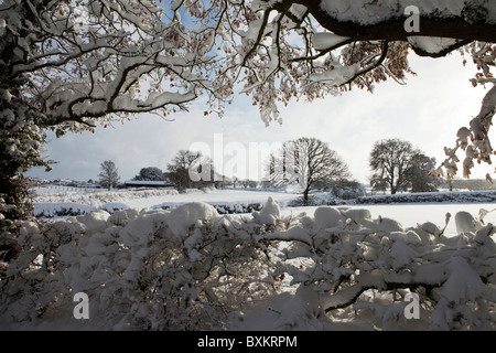 Scene di neve intorno a Chesterfield Derbyshire East Midlands England dopo la neve pesante nel dicembre 2010 Foto Stock