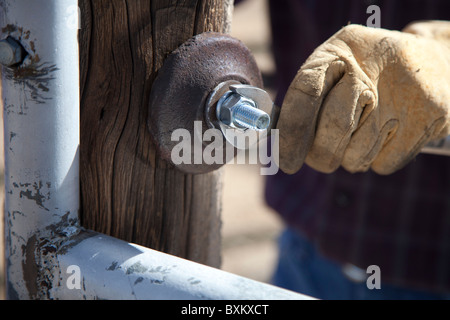 Gli allevatori di gate di riparazione su bovini scivolo sul ranch di bestiame Foto Stock