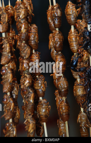 Mercato alimentare, scorpioni, coleotteri, Wangfujing Street, Pechino, Cina Foto Stock