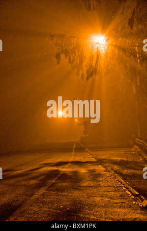 Moody incandescente a vapori di sodio lampade di strada in caso di nebbia Foto Stock