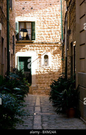 Un paesaggio dal villaggio di Fornalutx in le montagne Tramuntana sull isola di Maiorca, Spagna. Foto Stock