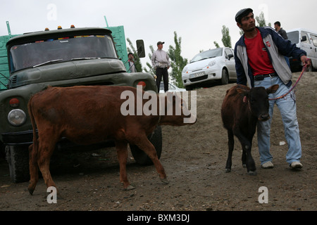 Domenica mercato del bestiame nel villaggio di Mirbazar vicino a Bukhara, Uzbekistan. Foto Stock