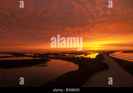 Alba nelle zone umide. Edwin B Forsythe National Wildlife Refuge, New Jersey, Stati Uniti. Foto Stock