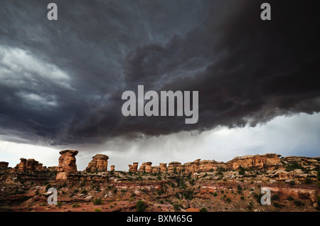 Minacciose nuvole temporalesche al di sopra degli aghi Distretto del Parco Nazionale di Canyonlands, Utah, Stati Uniti d'America. Foto Stock