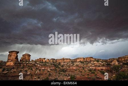 Minacciose nuvole temporalesche al di sopra degli aghi Distretto del Parco Nazionale di Canyonlands, Utah, Stati Uniti d'America. Foto Stock