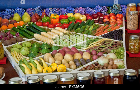 Questa bella immagine di stock è un array di molti ortaggi raccolti disposti in un disegno piacevole. Rape e patate, frutta. Foto Stock