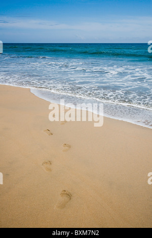 Orme nella sabbia - Nilaveli Beach, Trincomalee, Sri Lanka East Coast. Foto Stock