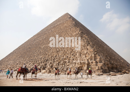 A dorso di cammello venditori escursione sulla schiena del cammello, i clienti in attesa attorno al grande piramide. Foto Stock