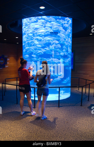 Allo Zoo Henry Doorly - Scott Acquario in Omaha, Nebraska Foto Stock