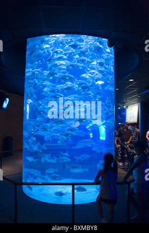 Allo Zoo Henry Doorly - Scott Acquario in Omaha, Nebraska Foto Stock