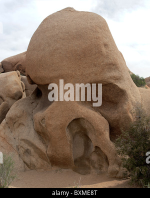 Cranio Rock, nel Parco nazionale di Joshua Tree Foto Stock