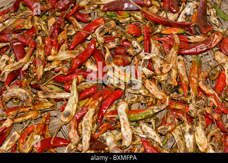 Asciugando il peperoncino, Corea del Sud Foto Stock