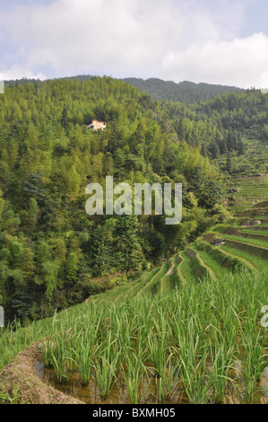 La zona intorno a Guilin nel sud della Cina Foto Stock