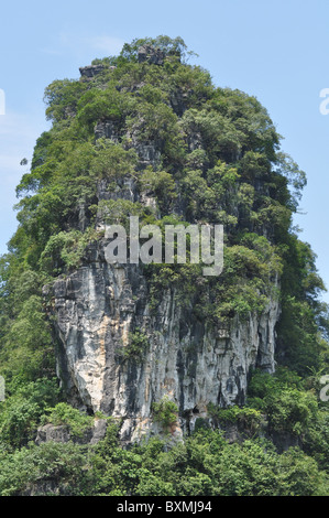 La zona intorno a Guilin nel sud della Cina Foto Stock