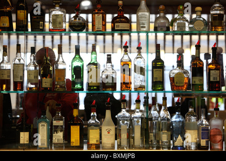 Bottiglie di liquore su ripiani in corrispondenza di un bar Foto Stock
