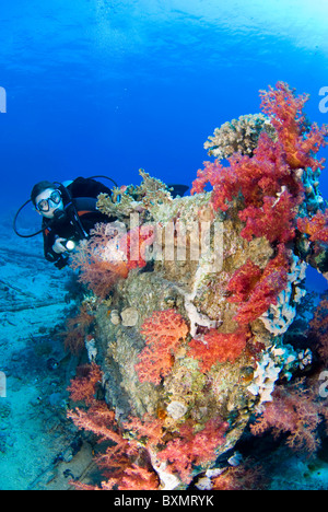 Relitto di Yolanda, Shark Yolanda Reef, il parco nazionale di Ras Mohammed, Sinai, Egitto, Mar Rosso Foto Stock