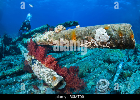 Relitto di Yolanda, Shark Yolanda Reef, il parco nazionale di Ras Mohammed, Sinai, Egitto, Mar Rosso Foto Stock