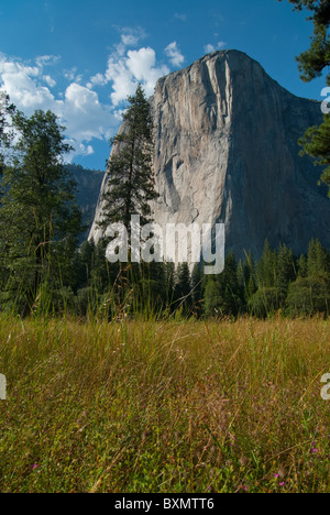 Massiccio El Capitan come visto da Yosemite Valley Foto Stock