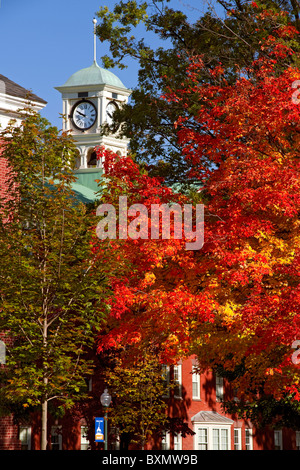 Brillante zucchero autunno alberi di acero sul campus della Bucknell University, in Lewisburg, Pennsylvania. Foto Stock
