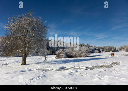 Gorbea Parco Naturale Alava, Spagna Foto Stock