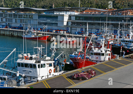 Porto di pesca con barche ormeggiate in Santona ed il mercato del pesce in background, Cantabria, Spagna settentrionale, l'Europa. Foto Stock