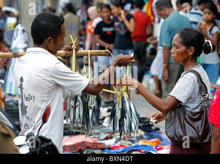 Commerciante di vendita del pesce, Colmera distretto commerciale di Dili capitale di Timor Orientale Foto Stock