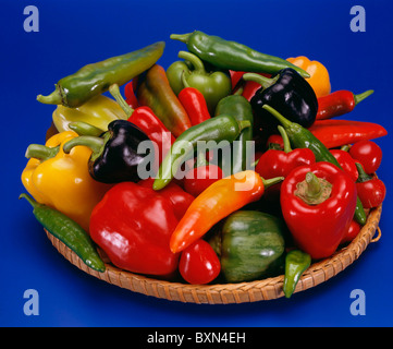 Un assortimento di piatti caldi e peperoni STUDIO Foto Stock