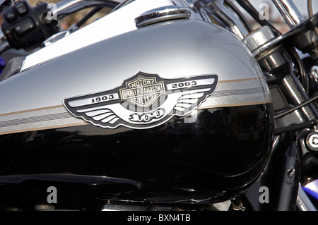 Harley Davidson Moto sul display all'annuale Boxing Day vintage e custom vehicle show, Wickham, Hampshire, Inghilterra. Foto Stock