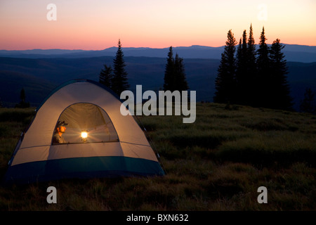 Tende da campeggio al vertice della montagna verde lungo la storica Magruder corridoio nel deserto Selway-Bitterwoot, Idaho. Foto Stock