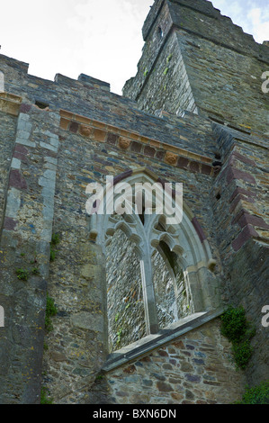 Tintern Abbey del XII secolo, originariamente un'Abbazia cistercense, nella contea di Wexford costruito dal Conte di Pembroke nel 1200, Irlanda Foto Stock