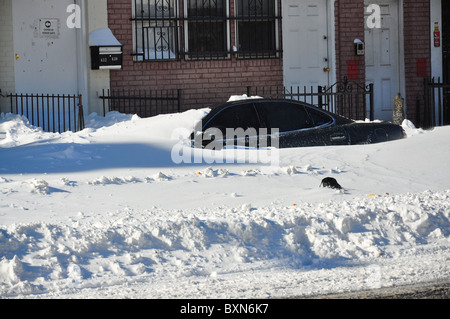 Auto sepolto nella neve dopo la tempesta di neve in New York Foto Stock