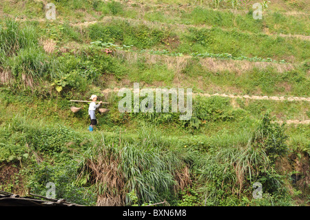 La zona intorno a Guilin nel sud della Cina Foto Stock