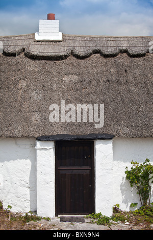 Appena imbiancato e rinnovato cottage con il tetto di paglia nei pressi di Fethard-on-Sea, County Wexford, Irlanda meridionale Foto Stock