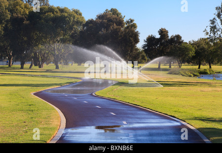 Irrigazione sprinkler l'erba di Sir James Mitchell Park Foto Stock