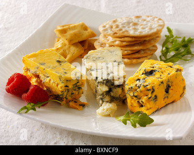 Formaggi e biscotti con stilton, Stilton bianco & blacksticks formaggio. Foto Stock