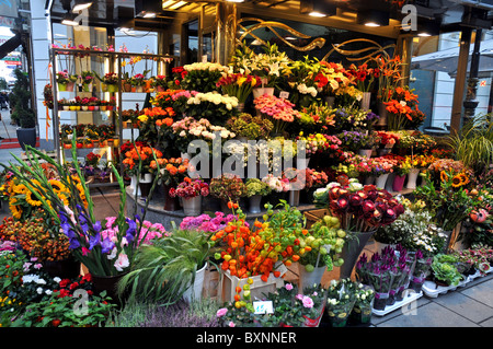 Negozio di fiori dal centro città, Vienna, Austria Foto Stock